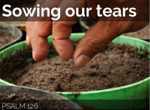 Sowing Our Tears